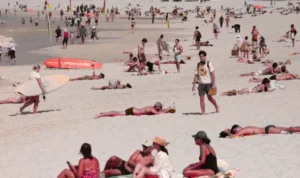 sydney bondi beach news