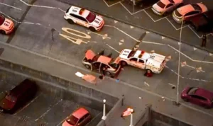 sydney bondi beach news